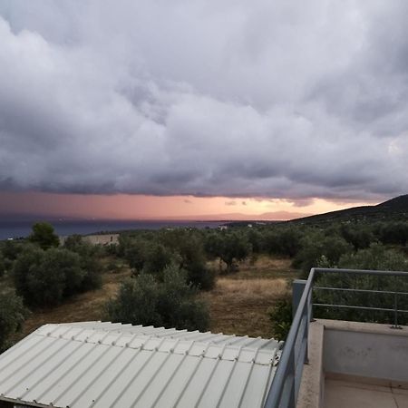 Panoramic View Summerhouse Loukissia Zewnętrze zdjęcie